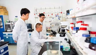 中國制造業第一縣聚力互聯網銷售轉型，新華日報頭版頭條聚焦產業升級新篇章